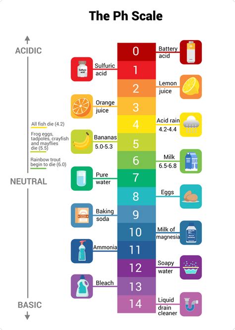 646ph.ph.com|ph levels chart.